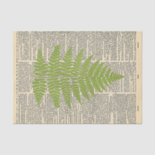 Papel De Seda Jornal Vintage com a dissociação de folha verde