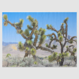 Papel De Seda Joshua Tree na Califórnia