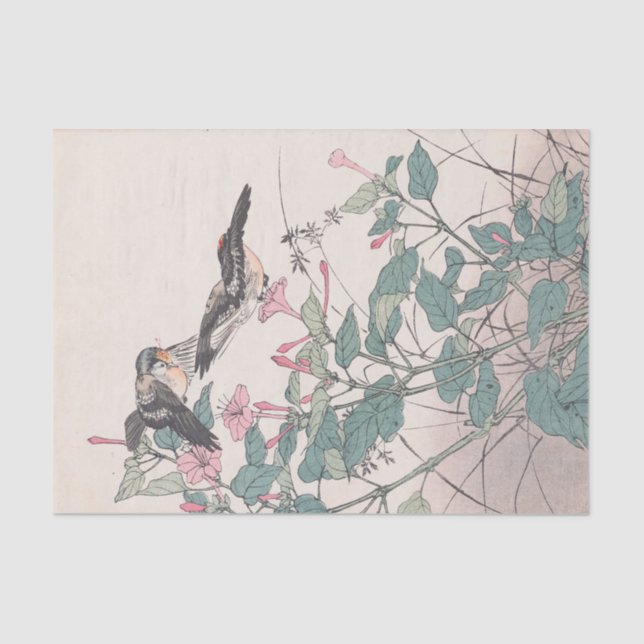 Papel De Seda Keinen Kachō Gafu, Pl.23, por Imao Keinen (Frente )