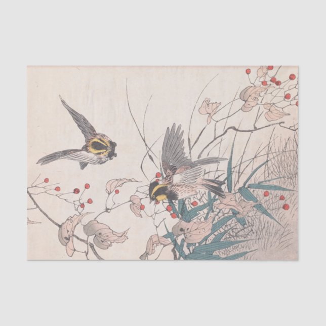 Papel De Seda Keinen Kachō Gafu, Pl.27, por Imao Keinen (Frente )