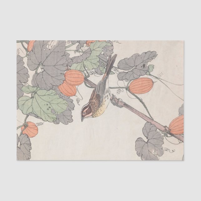 Papel De Seda Keinen Kachō Gafu, Pl.38, por Imao Keinen (Frente )