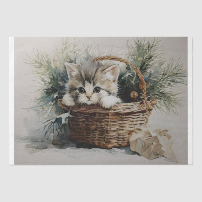 Papel De Seda Kitten em uma cesta (Frente )