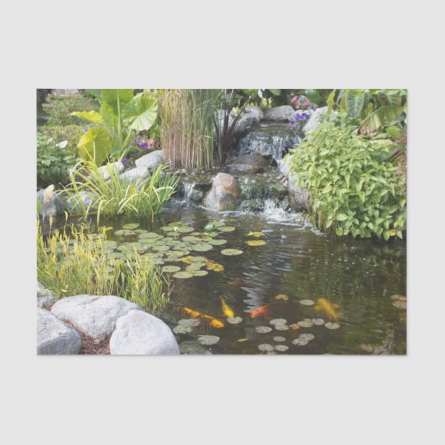 Papel De Seda Koi Pond com Waterfall (Frente )