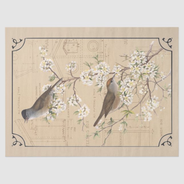 Papel De Seda Kraft Warbler Bird Birdhouse Disoupage Tan (Frente )