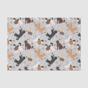 Papel De Seda Labradoodle / Ossos e patas de Goldendoodle