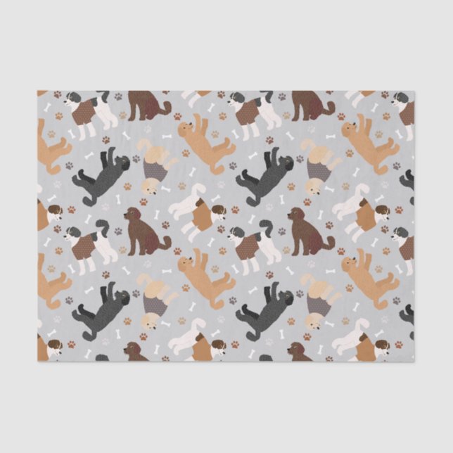 Papel De Seda Labradoodle / Ossos e patas de Goldendoodle (Frente )