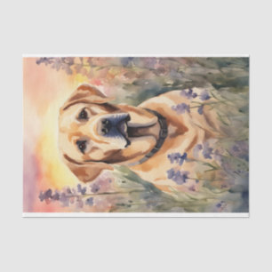 Papel De Seda Labrador de Aquarela em Decoupage de Flores