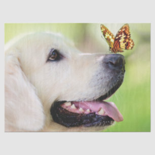 Papel De Seda Labrador E Travesseiro decorativo De Borboleta