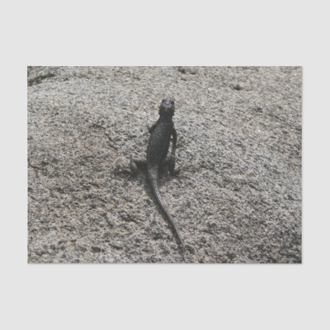 Papel De Seda Lagarto Preto (Frente )