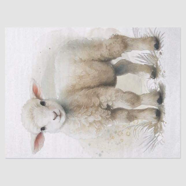 Papel De Seda Lamb Shep Watercolor (Frente )