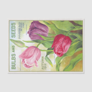 Papel De Seda Lâmpadas e Sementes de 1912 Tulipas