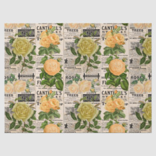 Papel De Seda Laranja e Rosas de oliveira na Vintage Newsprint