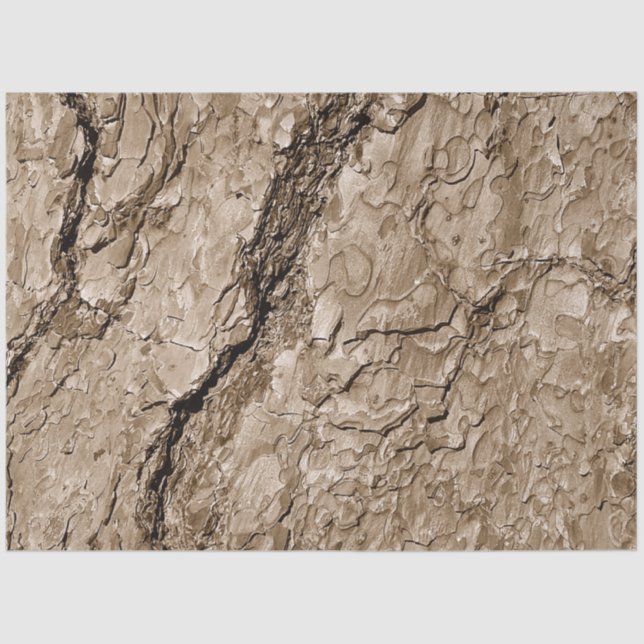 Papel De Seda Latido B da árvore (Frente )