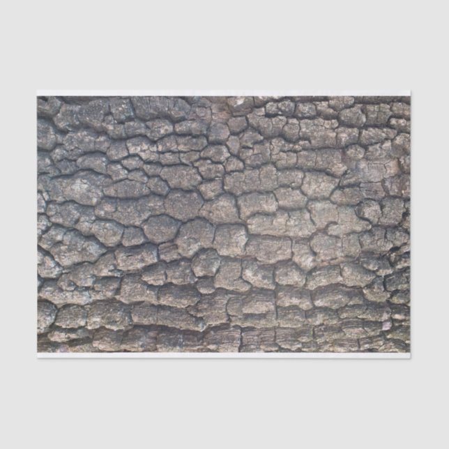 Papel De Seda Latido da árvore de plano (Frente )