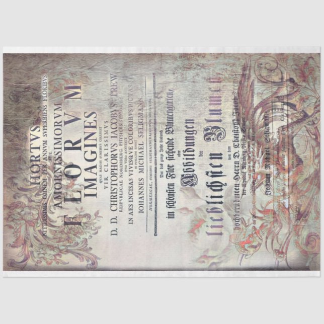 Papel De Seda Latin ephemera (Frente )