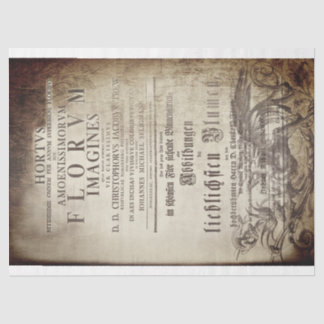 Papel De Seda Latin scrollwork