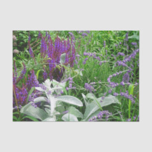 Papel De Seda Lavanda e orelha de Salvia Lambs