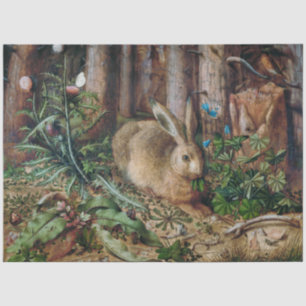Papel De Seda Lebre na Sequência do Coelho da Floresta