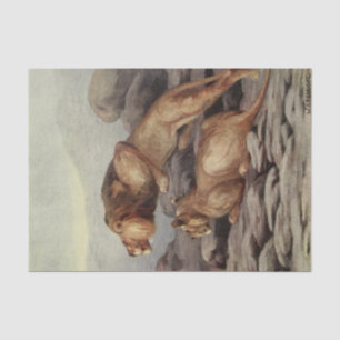 Papel De Seda legal amantes do leão desentupindo amantes do arte