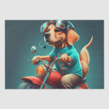 Legal cão dirigindo uma moto