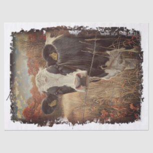 Papel De Seda Leite de Vaca Holstein Frísia