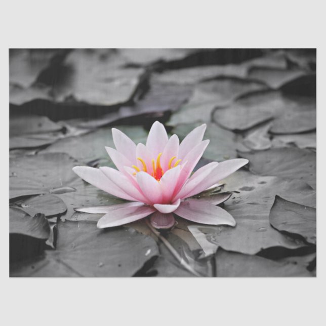 Papel De Seda lenço de água (Frente )