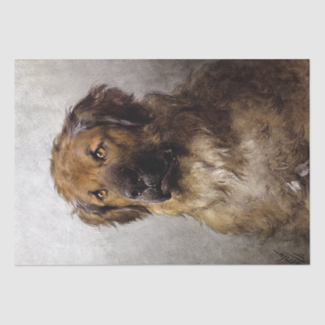 Papel De Seda Leonberger Dog por Otto Eerelman (Frente )