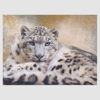 Papel De Seda Leopardo-da-neve Deitado