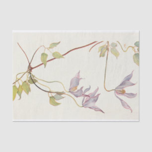 Papel De Seda Lilac Clematis de Margaret Armstrong