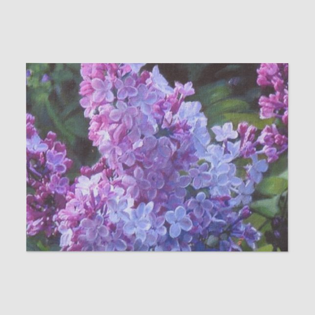 Papel De Seda Lilacs de Lavendar (Frente )