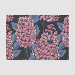Papel De Seda Lilás rosa com azul escuro