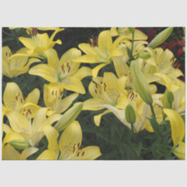 Papel De Seda Lilases Amarelas