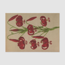 Lilium Chalcedonicum por Arentina Hendrica Arendse