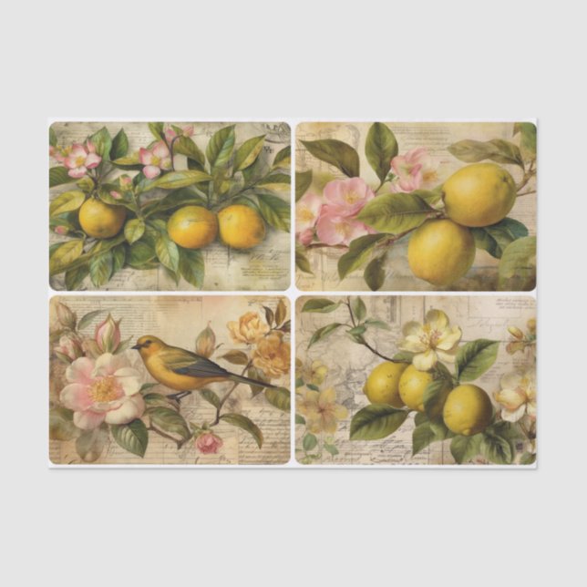 Papel De Seda Limões (Frente )