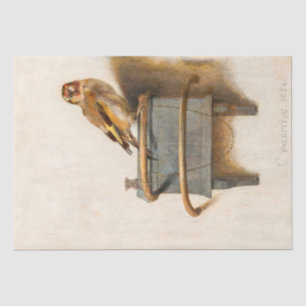Papel De Seda Linda Pássaro, A Desnuvem Goldfinch Vintage