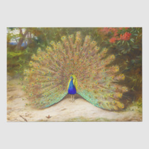Papel De Seda Linda pintura Peacock Vintage Colorida de Aves