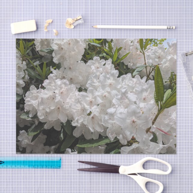 Papel De Seda Linda Rhododendron Blooms Floral (Arte )