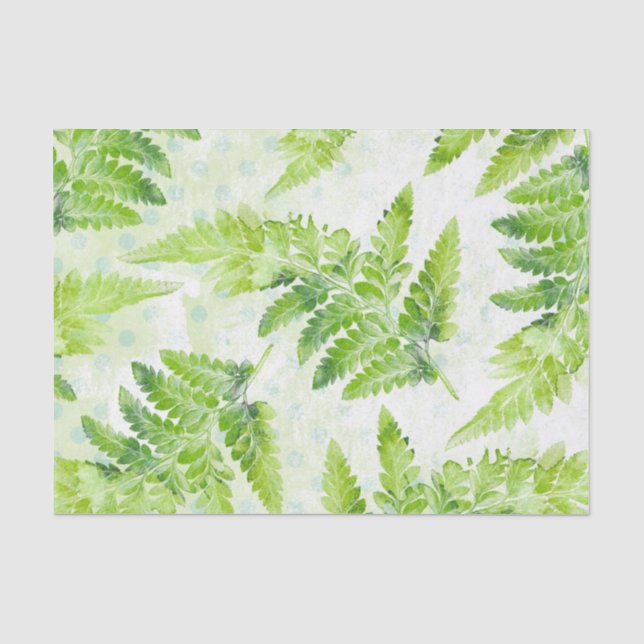 Papel De Seda Linda Samambaia Verde Padrão de Aquarela Botânica (Frente )