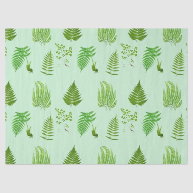 Papel De Seda Lindas pinturas de samambaias (Frente )