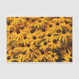 Papel De Seda Lindos Confluentes Amarelos Rudbeckias