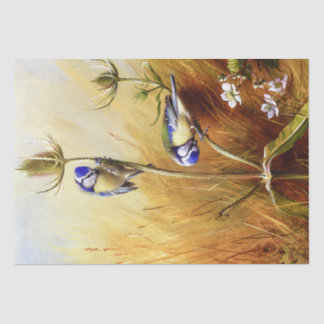 Papel De Seda Lindos pássaros-azuis em uma Aquarela de Teasel Vi