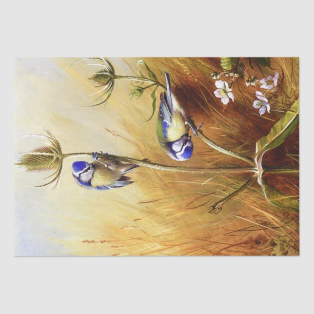 Papel De Seda Lindos pássaros-azuis em uma Aquarela de Teasel Vi (Frente )