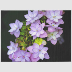 Papel De Seda Livro de Muitas Flores Roxas de Pétalas