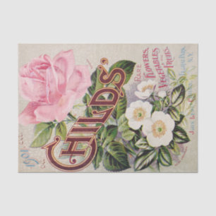 Papel De Seda Livro de Tecidos do Catálogo de Rosas Brancas e Ro