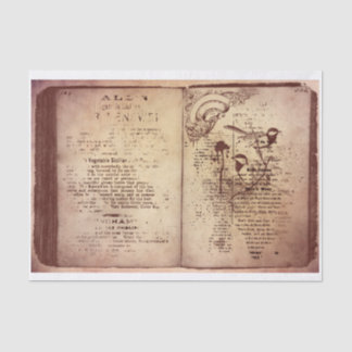 Papel De Seda Livro Vintage