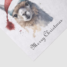 Llama de Natal com Chapéu de Papai Noel e Texto Pe