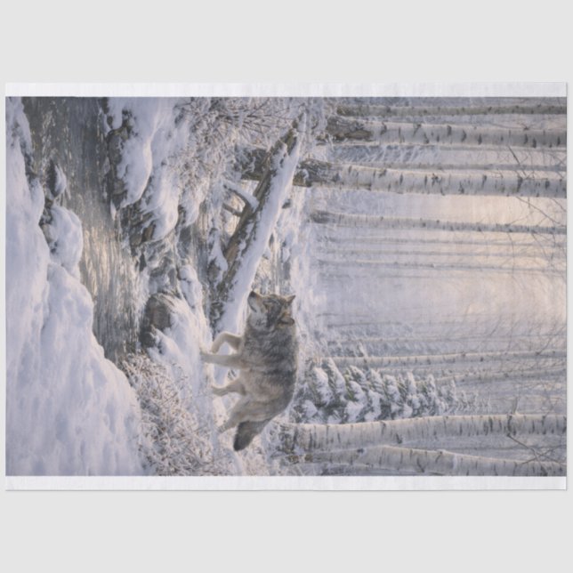 Papel De Seda Lobo do Inverno (Frente )