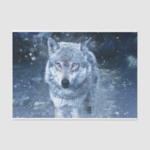Papel De Seda Lobo em Blizzard