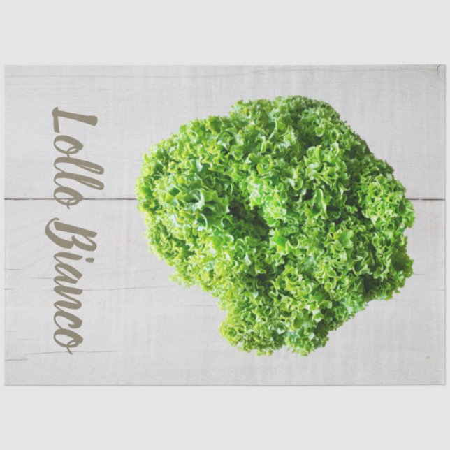 Papel De Seda Lollo Bianco Salad alface para Vegans (Frente )
