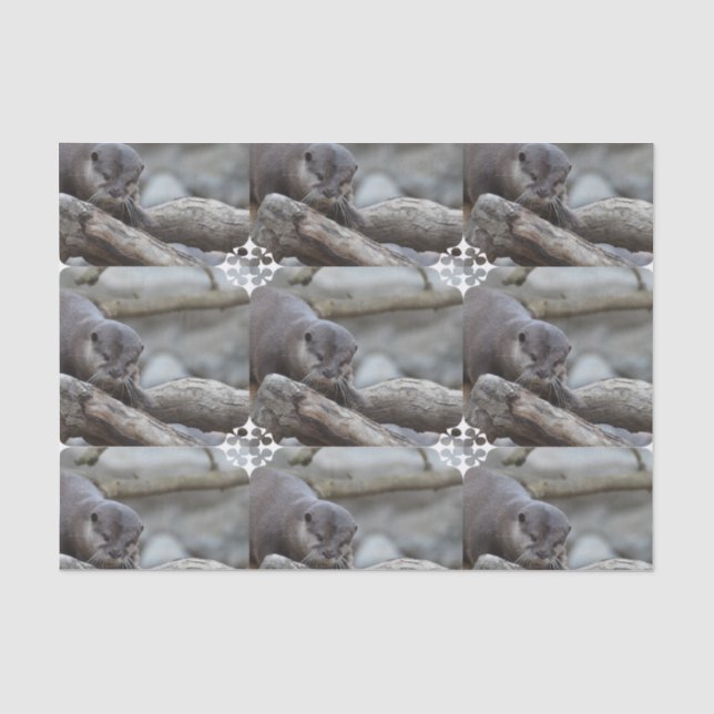 Papel De Seda Lontra adorável (Frente )